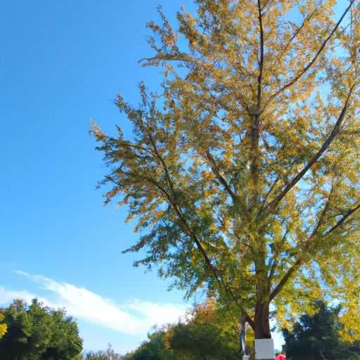 11月11日是什么日子