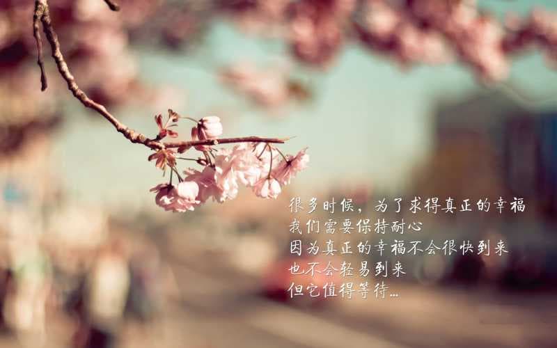  八字算命最准的免费网站推荐，快速了解自己的命运