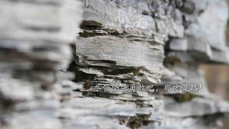  1986年9月11日出生的人是什么命？——详细解析9月11日出生人的性格与命运